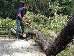 Best Seasonal Cleanup (Spring/Fall)  in Fort Washington, MD