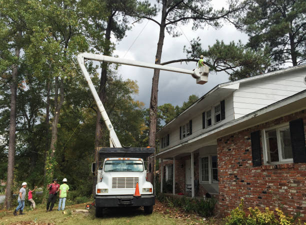 Best Arborist Consultation Services  in Fort Washington, MD