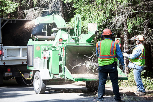 Best Leaf Removal  in Fort Washington, MD